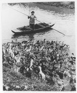 川沙县张江公社霍家生产队养鸭场的“四伯姆”养的鸭